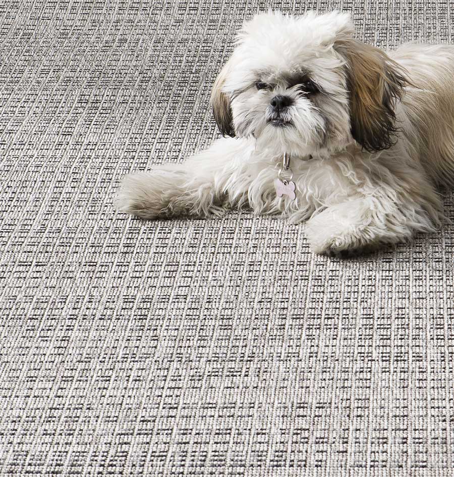 alfombra-exterior-mascotas-Getafe